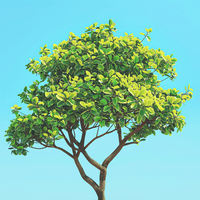 Thumbnail for Tree 40x40cm - Diamantschilderij 