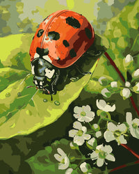 Thumbnail for Tiny Explorer, Grote Wereld - Schilderen Op Nummer 