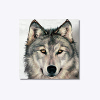 Thumbnail for Alpha Wolf 20x20cm - Diamantschilderij 